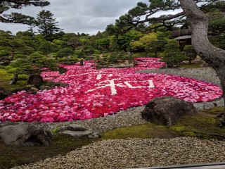 日本庭園　由志園　令和