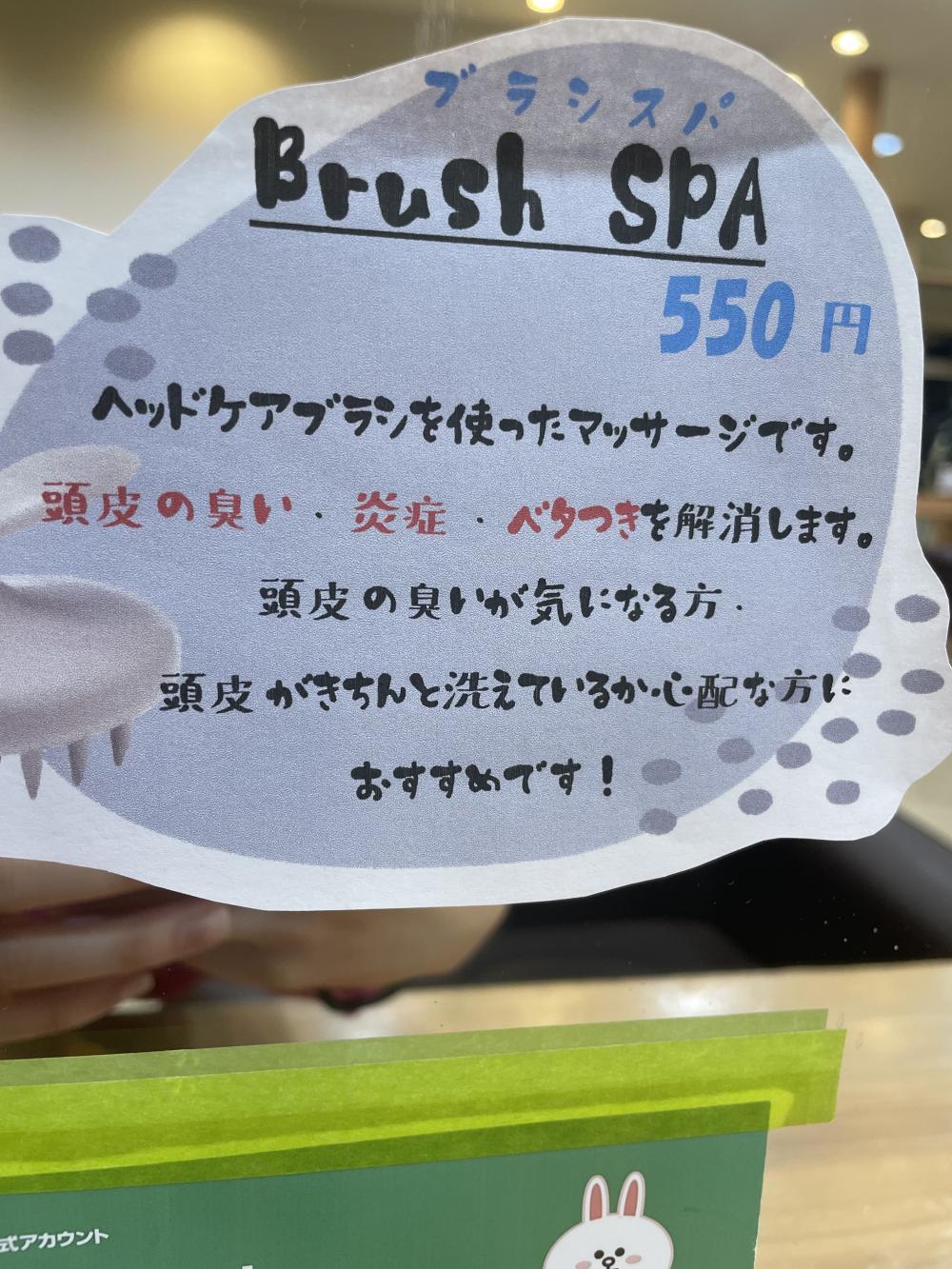 brush spa