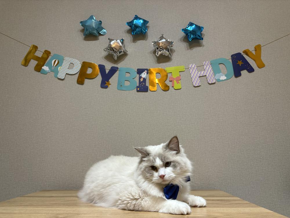 誕生日